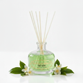 Thé Vert Diffuser